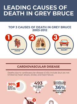 Leading Causes of Death Graphic
